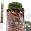 Dyed & Heated Natural Agate Beads X1-G-J402-03B-01-3