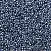 TOHO Round Seed Beads SEED-XTR11-2102-2