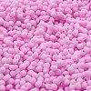 Macaron Color Opaque Frosted Glass Seed Beads SEED-K009-12B-05-3