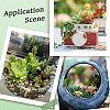 PVC Artificial Succulent Plant AJEW-SP0004-35C-6