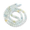 Natural Aquamarine Beads Strands G-K310-C06-4mm-2