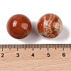 Natural Red Jasper No Hole Sphere Beads G-K353-04D-07-3