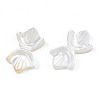 Natural White Shell Beads SSHEL-S258-105A-4