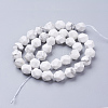 Natural Howlite Beads Strands G-J376-40-10mm-2