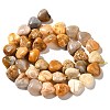 Natural Fossil Coral Beads Strands G-R190-10mm-45-3