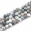 Natural Tree Agate Beads Strands G-T106-038-1