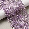 Natural Amethyst Beads Strands G-D324-01A-1