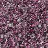 Transparent Inside Colours Glass Seed Beads SEED-A032-04N-3