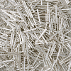 Glass Bugle Beads SEED-TA0001-01-3