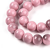 Baking Paint Glass Beads Strands DGLA-N013-10mm-09-3