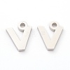 Non-Tarnish 304 Stainless Steel Charms STAS-G244-01N-1