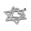 Non-Tarnish 304 Stainless Steel Pendants STAS-B062-19P-2