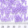 6/0 Baking Paint Glass Round Seed Beads SEED-S036-01C-08-3