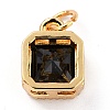 Real 18K Gold Plated Brass Inlaid Cubic Zirconia Charms ZIRC-L100-073G-03-3
