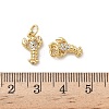 Brass Micro Pave Cubic Zirconia Charms KK-D502-26M-G-3