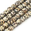 Natural Dalmatian Jasper Beads Strands G-C267-A14-2