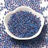 Transparent Glass Round Seed Beads SEED-B001-05A-05-2