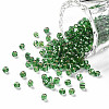 8/0 Glass Seed Beads X2-SEED-A005-3mm-27-1