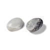 Natural Picasso Jasper Cabochons G-B080-01A-13-2