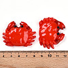 Resin Cabochons RESI-T057-21-3