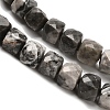 Natural Map Stone/Picasso Stone/Picasso Jasper Beads Strands G-H078-C07-01-4