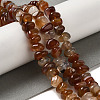 Natural Red Agate Beads Strands G-NH0017-C01-01-2