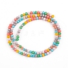 Faceted Glass Beads Strands GLAA-G074-B03-2