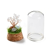 Natural Mixed Gemstone Chips Money Tree in Dome Glass Bell Jars with Wood Base Display Decorations DJEW-K030-02-4