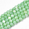 Natural Freshwater Shell Beads Strands X-SHEL-N003-24-B03-1