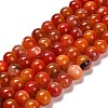 Natural Agate Beads Strands G-B079-A04-03E-1