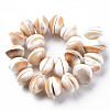 Natural Shell Beads Strands SSHEL-N034-100-2