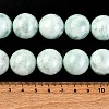 Natural Glass Beads Strands G-I247-31H-5
