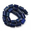 Natural Lapis Lazuli Dyed Beads Strands G-G162-D15-02-3