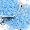 Transparent Colours Glass Seed Beads SEED-P008-01B-02-1