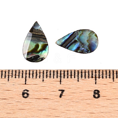 Natural Paua Shell Teardrop Cabochons SSHEL-T017-12-1