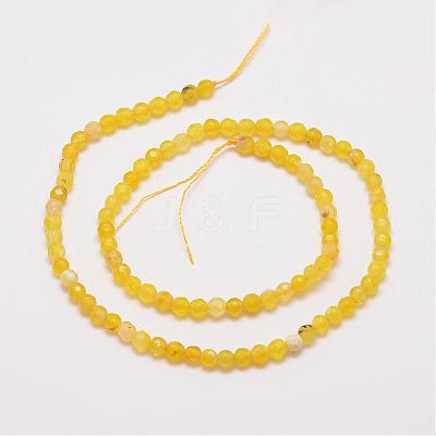 Natural Agate Bead Strands G-G882-4mm-A04-1