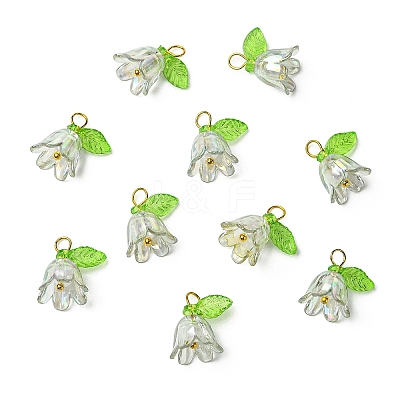 Transparent Acrylic Pendants PALLOY-YW00081-08-1