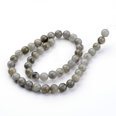 Natural Labradorite Bead Strands G-K152-03-8mm-1