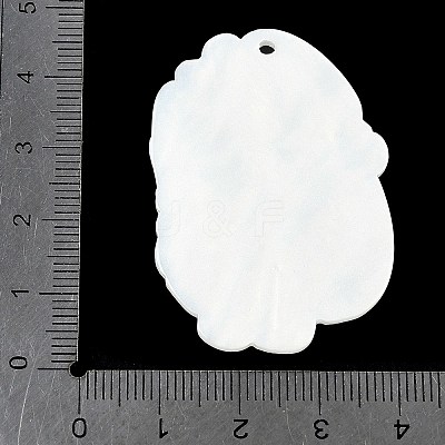 Acrylic Pendants OACR-V001-03C-1