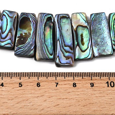 Natural Paua Shell Beads Strands BSHE-S305-01B-1