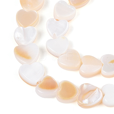 4 Strands Natural Freshwater Shell Beads Strands SHEL-PA0001-06-1