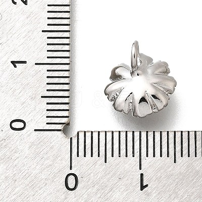 Brass Charms KK-M318-27P-1