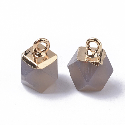 Natural Grey Agate Charms G-S359-015D-1
