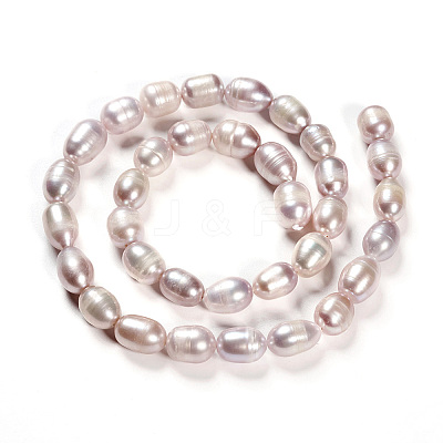 Natural Cultured Freshwater Pearl Beads Strands LS-PEAR-R064-16-1