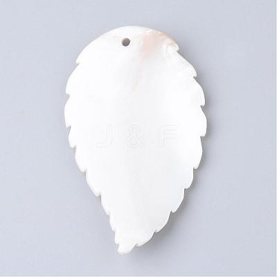 Freshwater Shell Big Pendants SHEL-S249-02-1