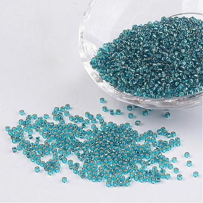 FGB 12/0 Grade A Transparent Silver Lined Round Glass Seed Beads X-SEED-A022-F13-51-1