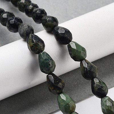 Natural Kambaba Jasper Beads Strands G-P520-B19-01-1