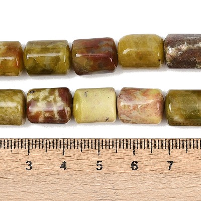 Natural Dragon Blood Jasper Beads Strands G-S396-03C-1