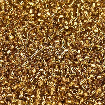 MIYUKI Delica Beads X-SEED-J020-DB2525-1