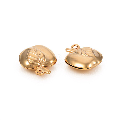 304 Stainless Steel Charms STAS-L244-12G-1